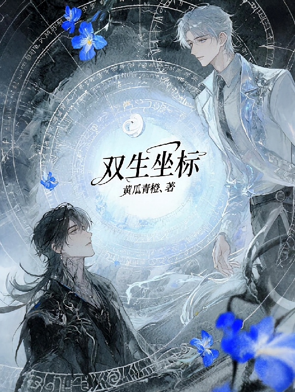 双生坐标