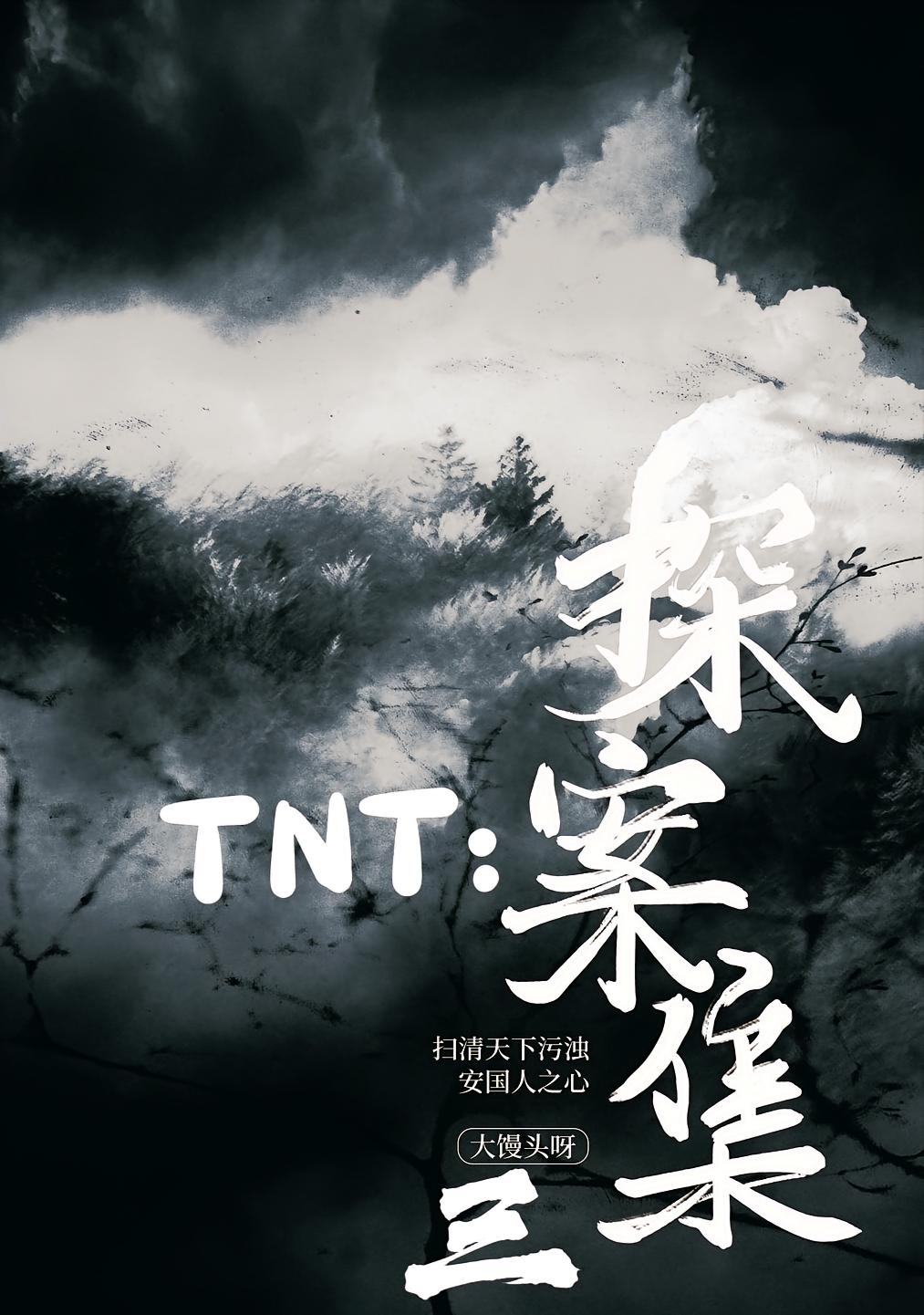 TNT：探案集三