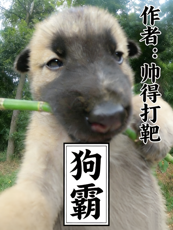 狗霸