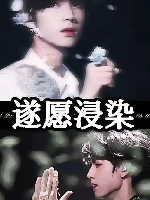 遂愿浸染