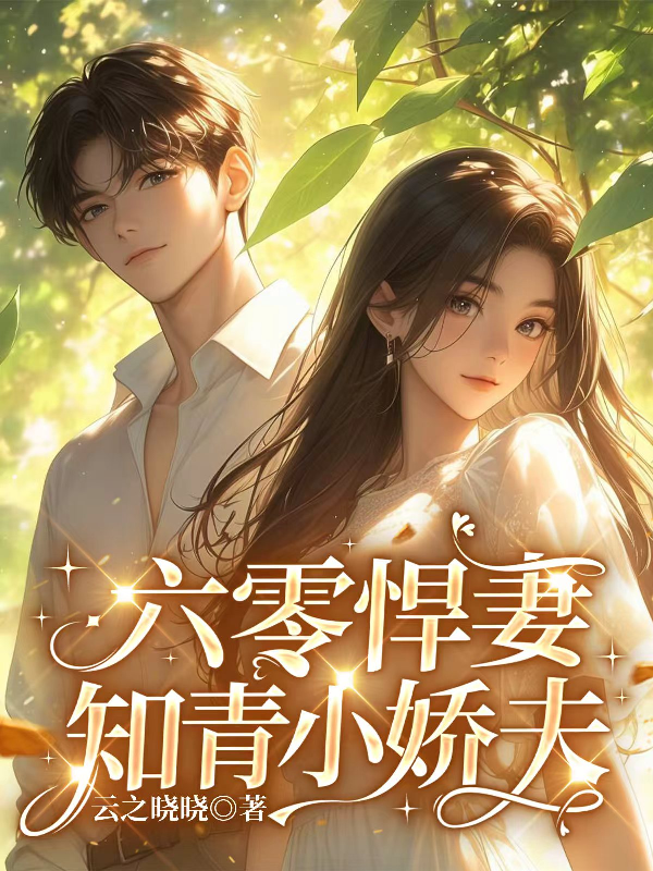 六零悍妻知青小娇夫