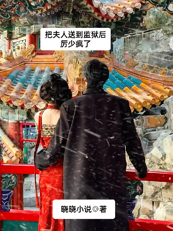 把夫人送到监狱后，厉少疯了