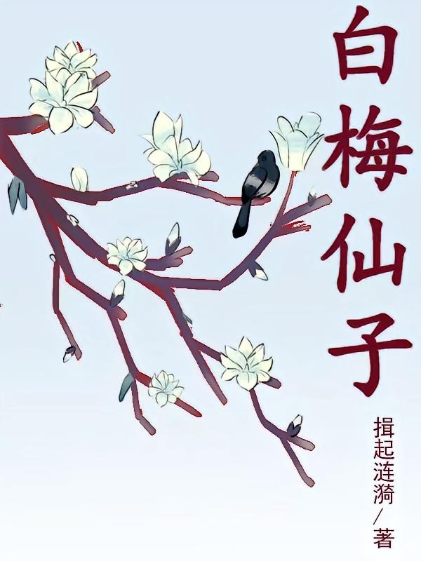 白梅仙子