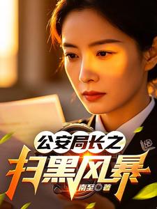 《公安局长之扫黑风暴》封面