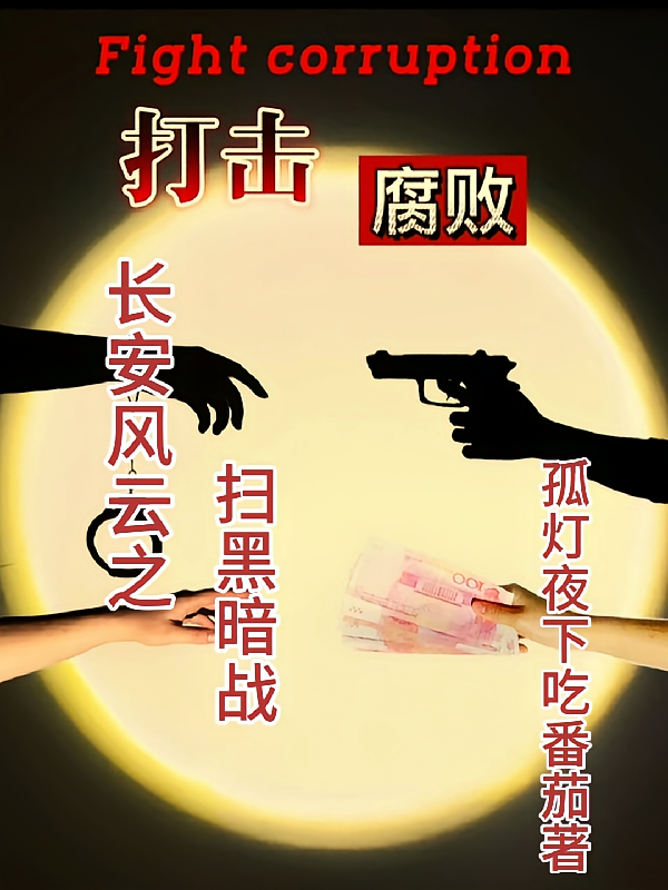 长安风云之扫黑暗战