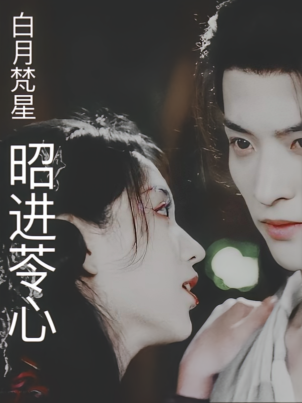 白月梵星之昭进苓心