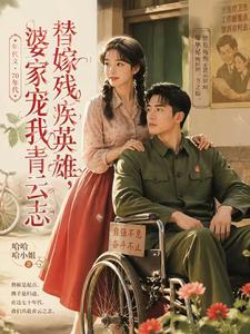 《替嫁残疾英雄，婆家宠我青云志》封面