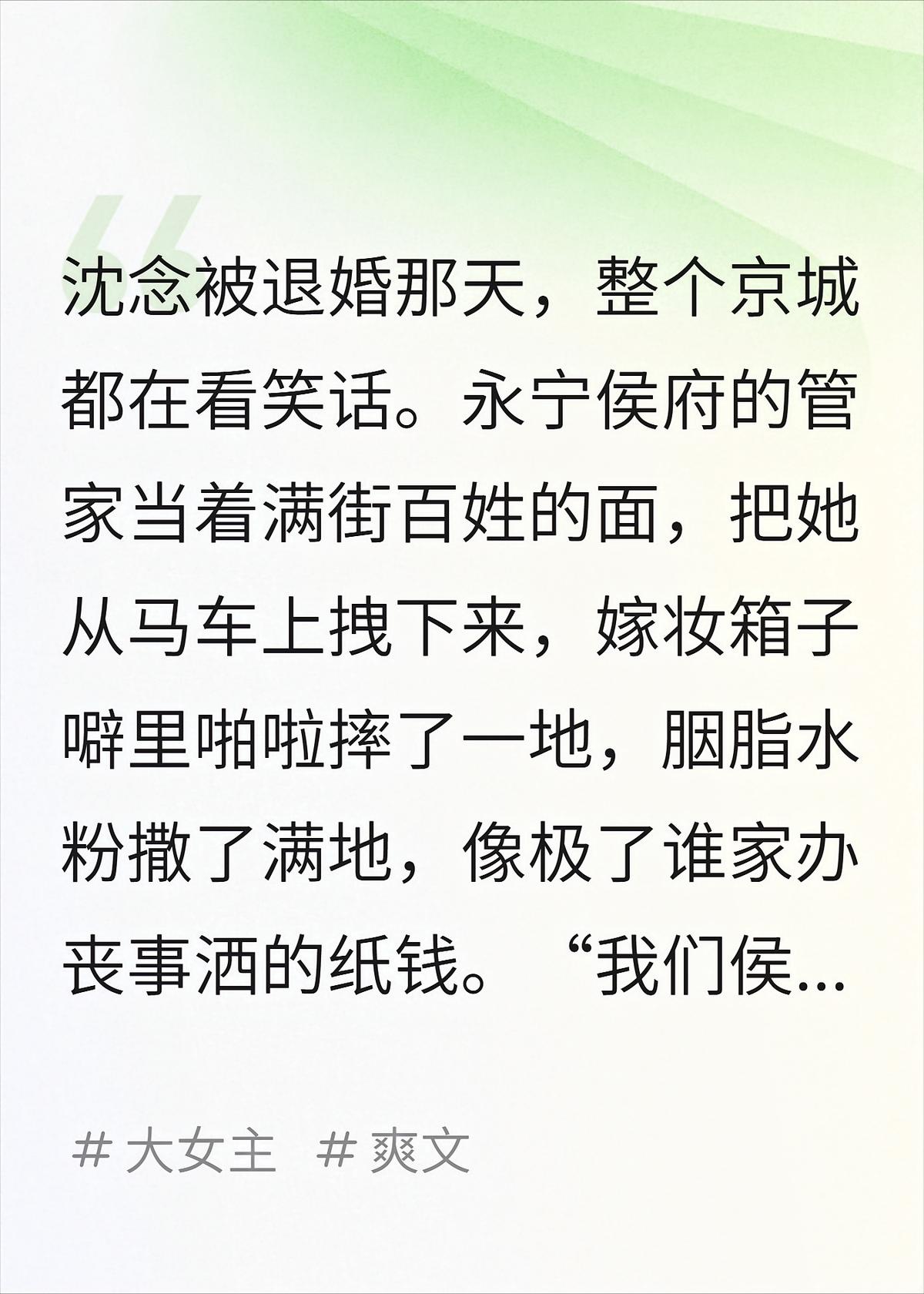 沈念被退婚那天，整个京城都在看笑话。