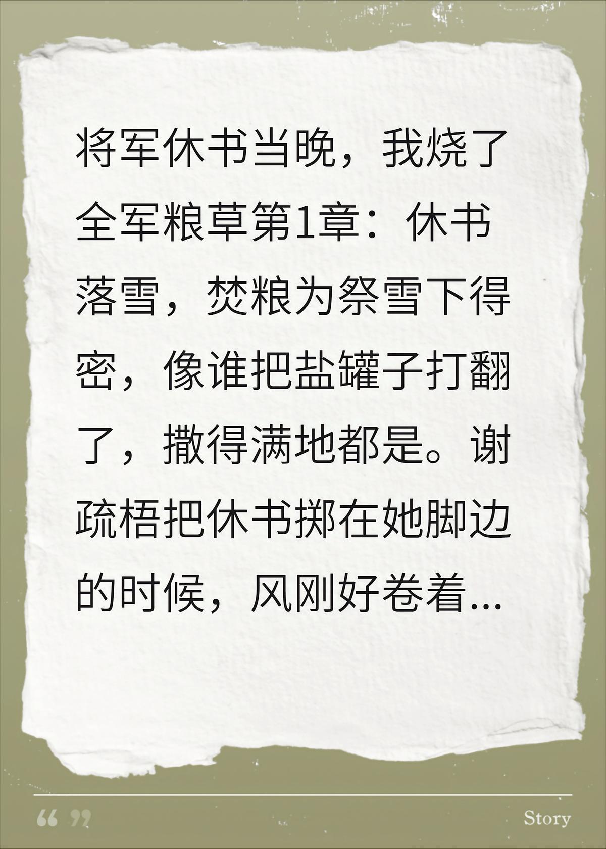 将军休书当晚，我烧了全军粮草