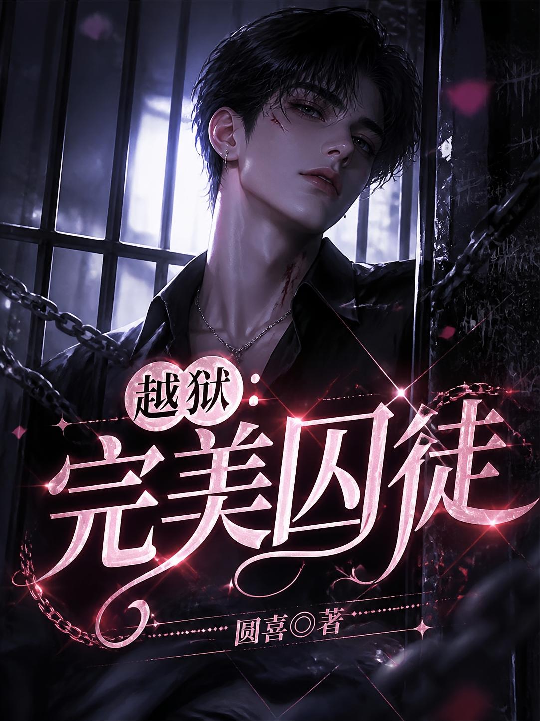 越狱：完美囚徒