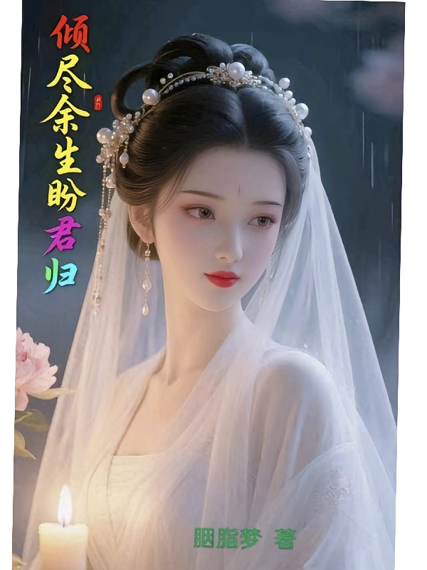 倾尽余生盼君归