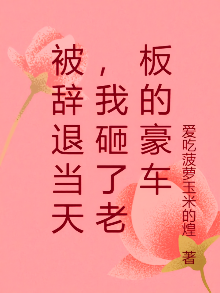 被辞退当天，我砸了老板的豪车