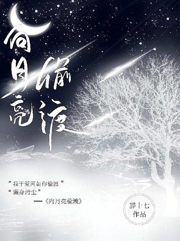 向月亮偷渡