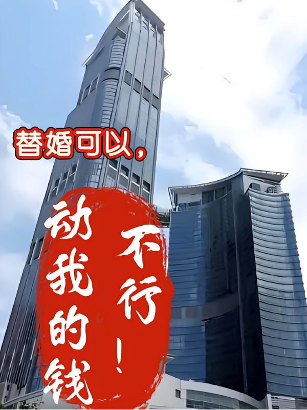 替婚可以，动我的钱不行！