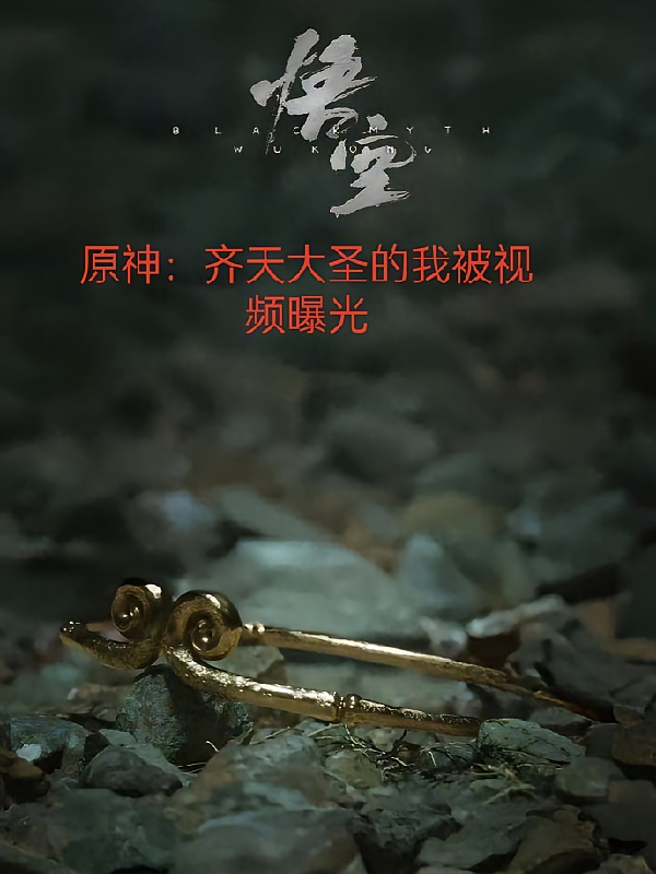 原神：齐天大圣的我被视频曝光