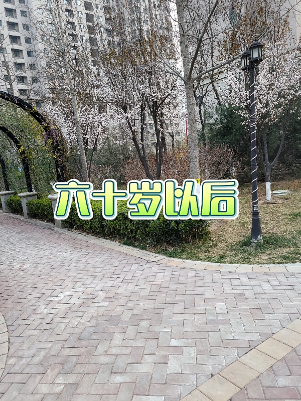 六十岁以后