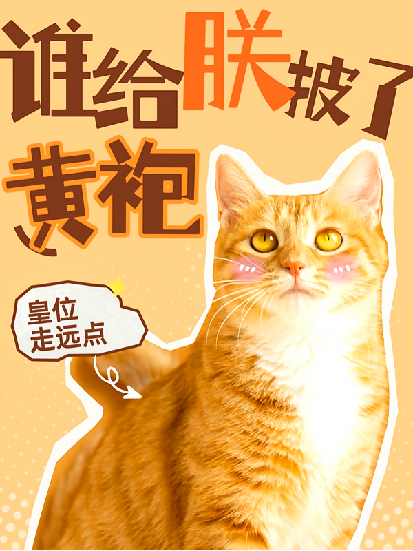 谁给朕披了皇袍