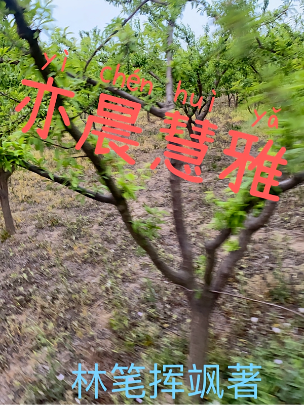 亦晨慧雅