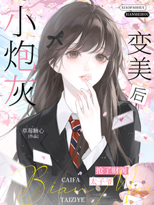 《小炮灰变美后，抢了财阀太子爷》封面