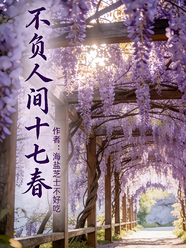 不负人间十七春