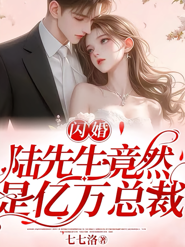 闪婚：陆先生竟然是亿万总裁