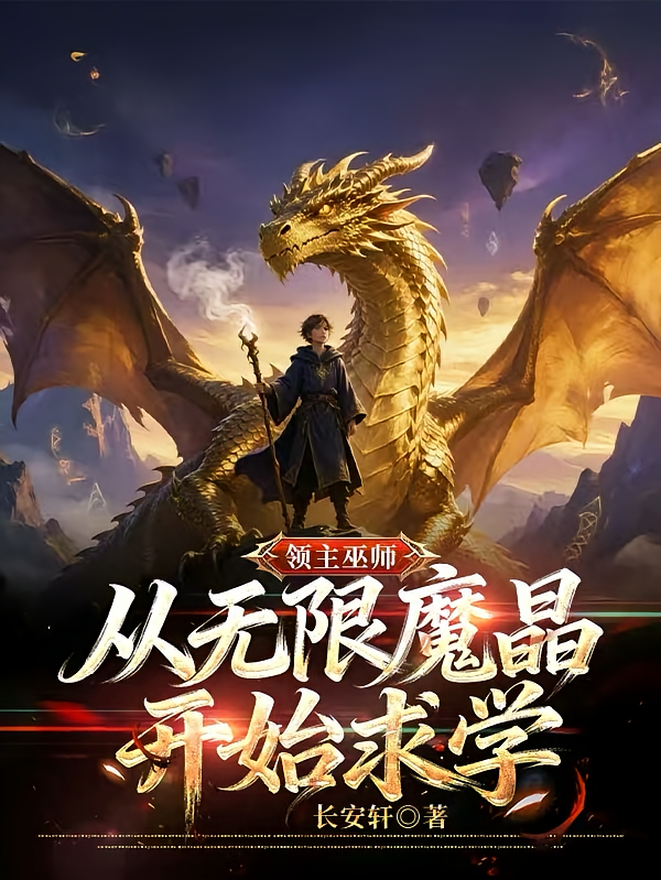 领主巫师：从无限魔晶开始求学！
