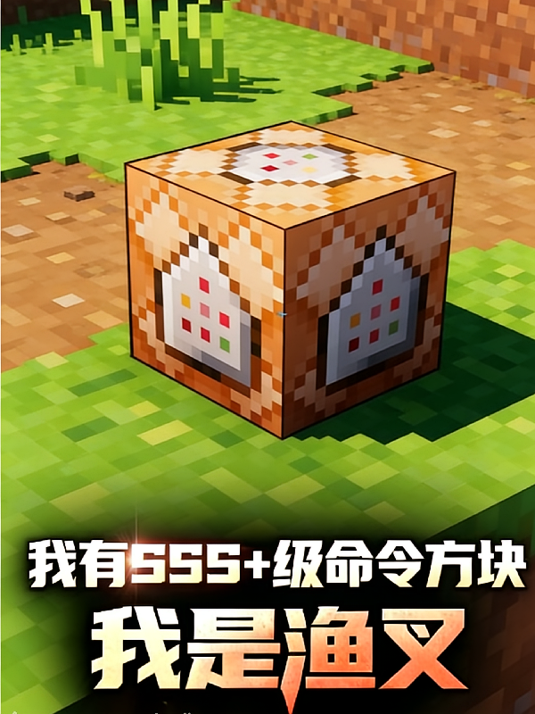 MC觉醒：我有SSS加命令方块