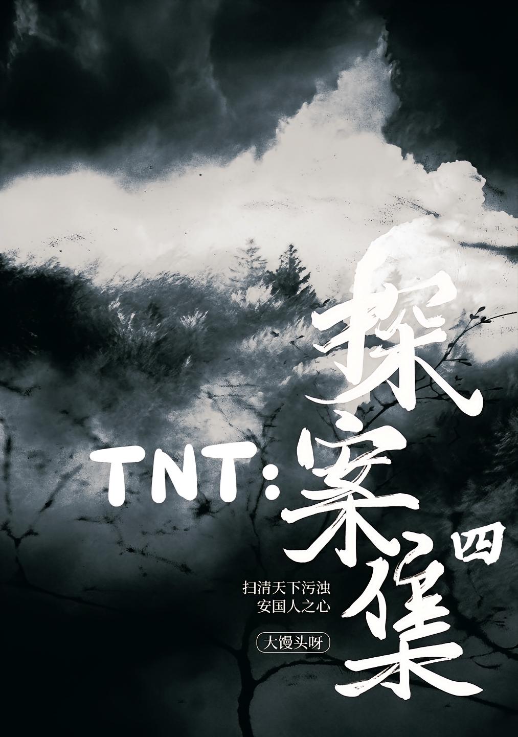 TNT：探案集四