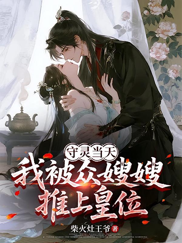 守灵当天，我被众嫂嫂推上皇位