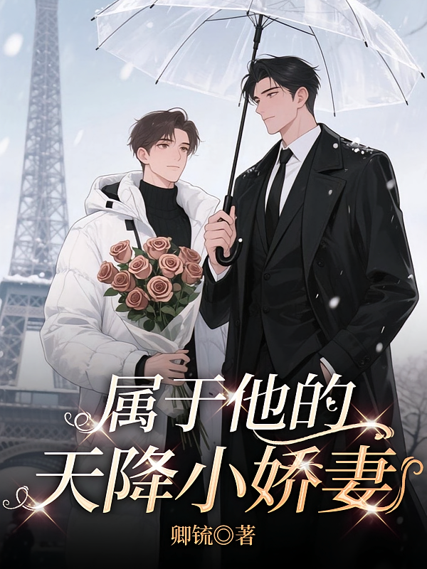 属于他的天降小娇妻