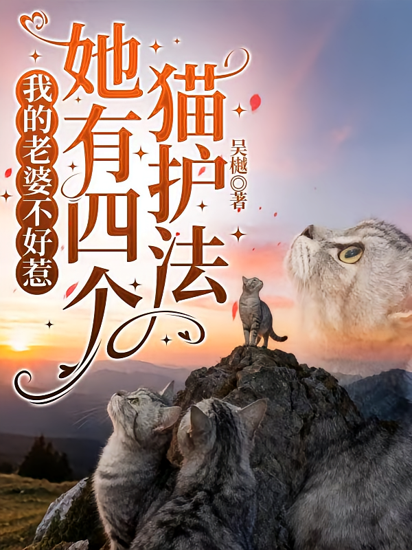我老婆不好惹，她有四个猫护法