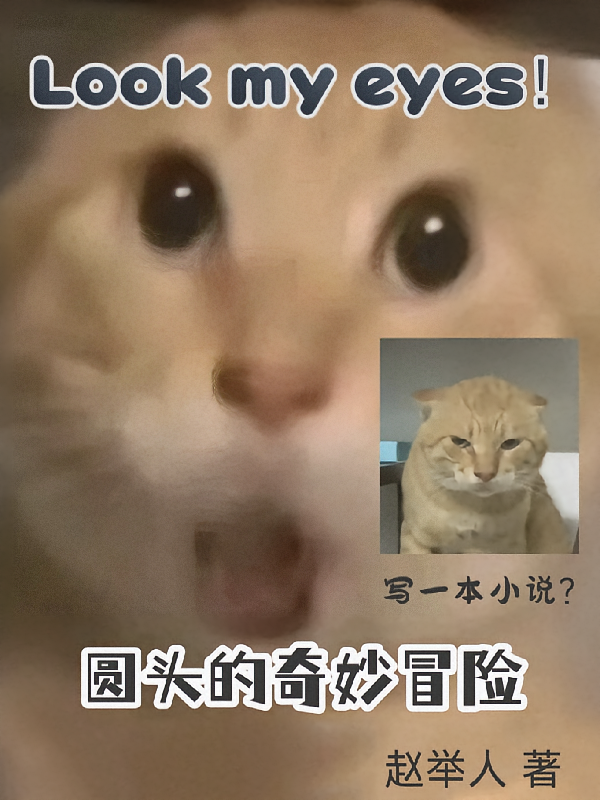 圆头的奇妙冒险