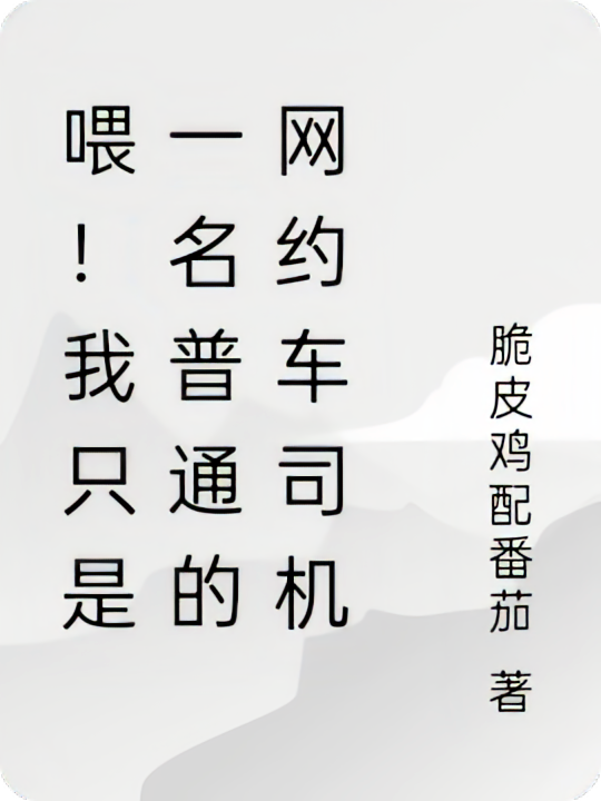 喂！我只是一名普通的网约车司机