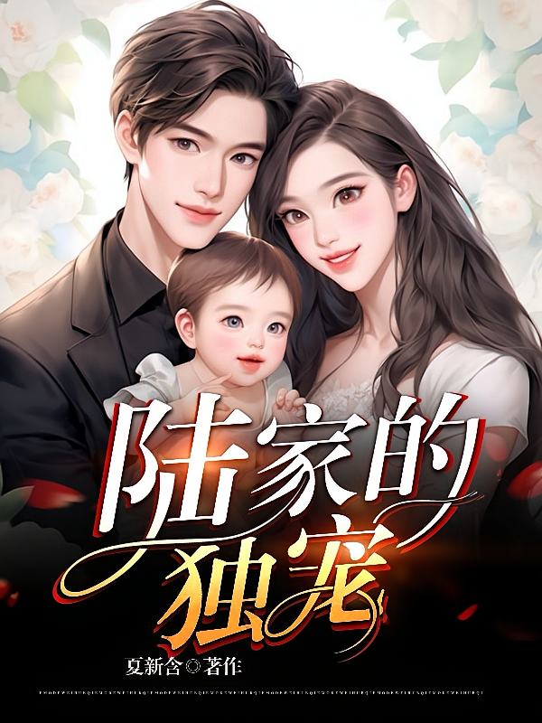 陆家的独宠