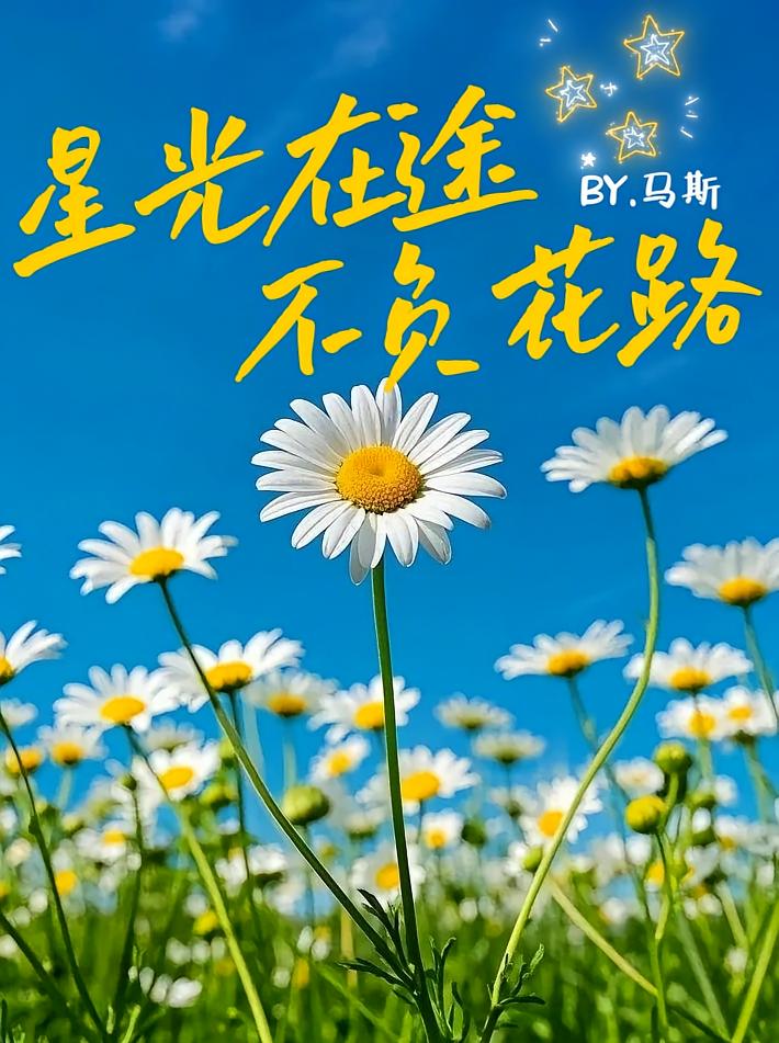 【权G龙】星光在途不负花路