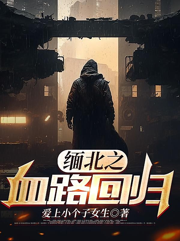 缅北之血路回归