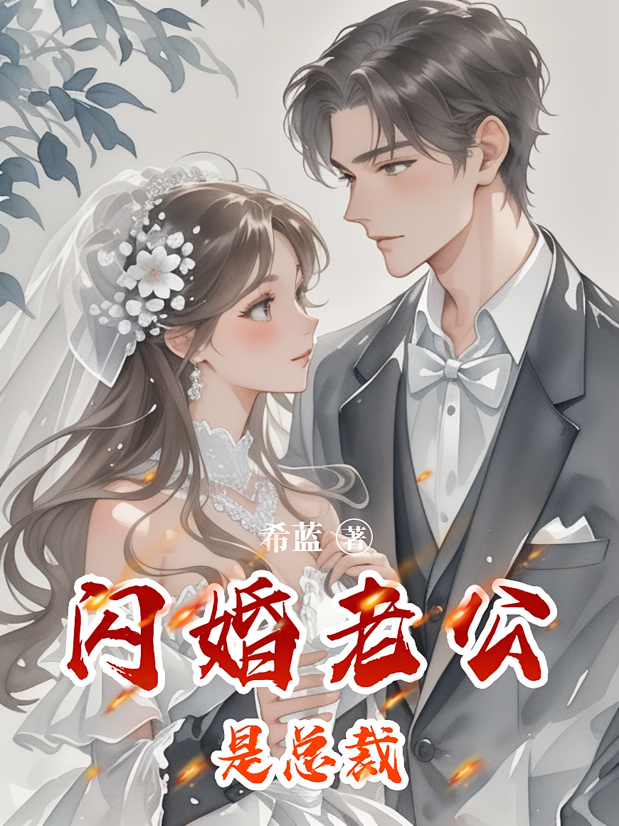 闪婚老公是总裁