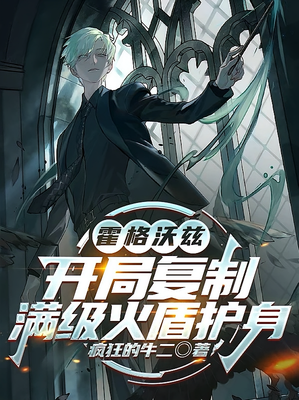 霍格沃兹：开局复制满级火盾护身