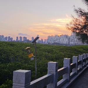 华娱：从02年开始票房封神完整版在线免费阅读_华娱：从02年开始票房封神小说_番茄小说官网