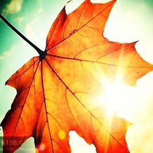 小镇美妇作者庚一叶