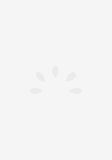哥俩好（上下）
